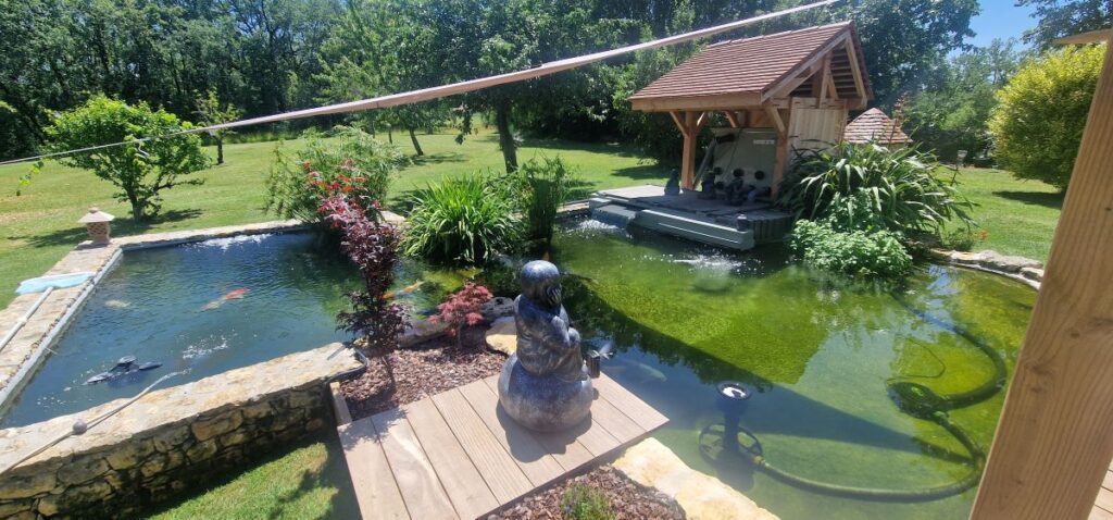 Sélection Koï Sélection Koï